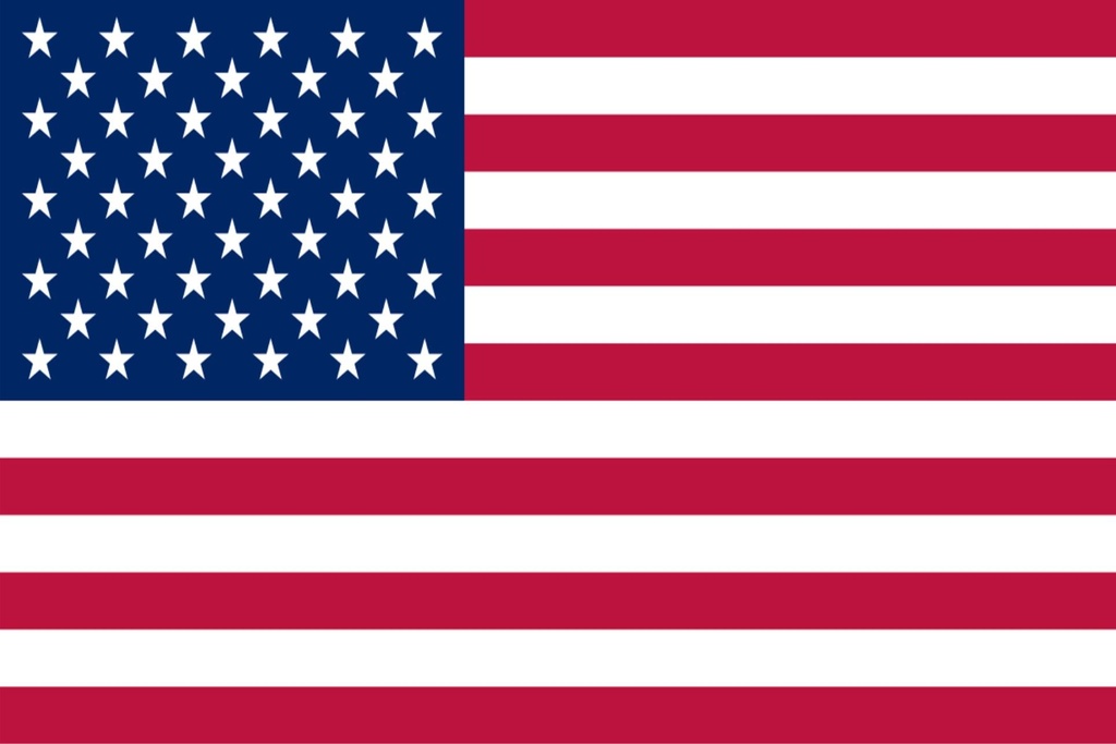 Флажок США болоний 12х24